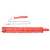 Generique Collier et laisse Fur Sweet Rouge